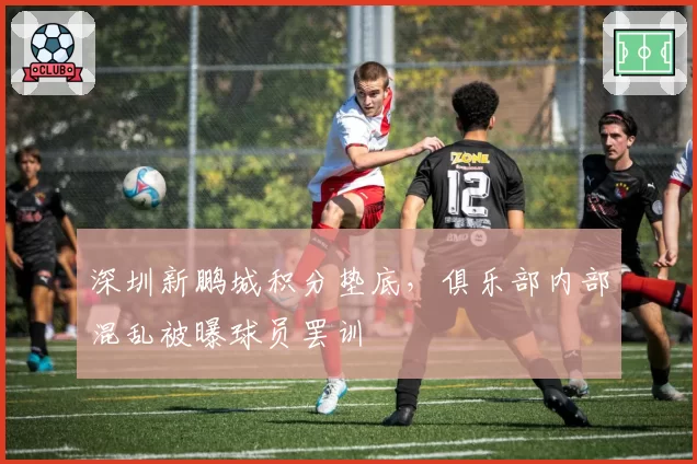 深圳新鹏城积分垫底，俱乐部内部混乱被曝球员罢训