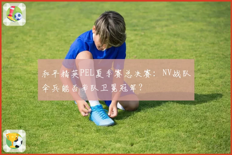 和平精英PEL夏季赛总决赛：NV战队伞兵能否率队卫冕冠军？