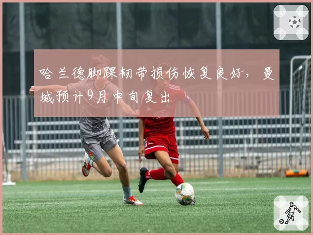 哈兰德脚踝韧带损伤恢复良好,曼城预计9月中旬复出