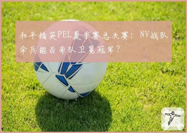 和平精英PEL夏季赛总决赛:NV战队伞兵能否率队卫冕冠军?